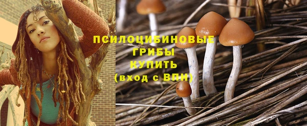 тгк Арсеньев