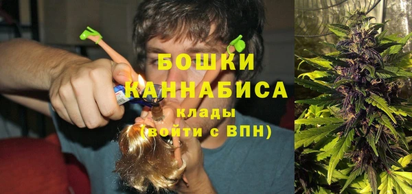 тгк Арсеньев