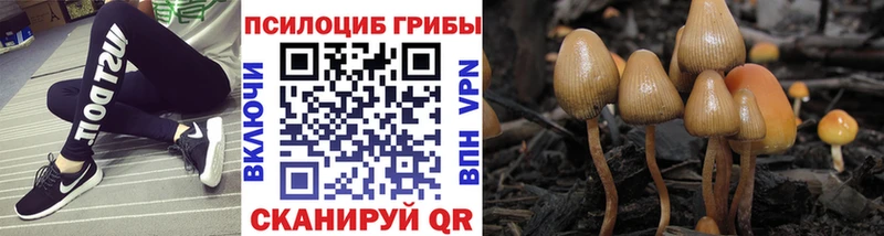 Галлюциногенные грибы мухоморы  как найти наркотики  Салаир 